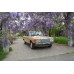 Mercedes 200